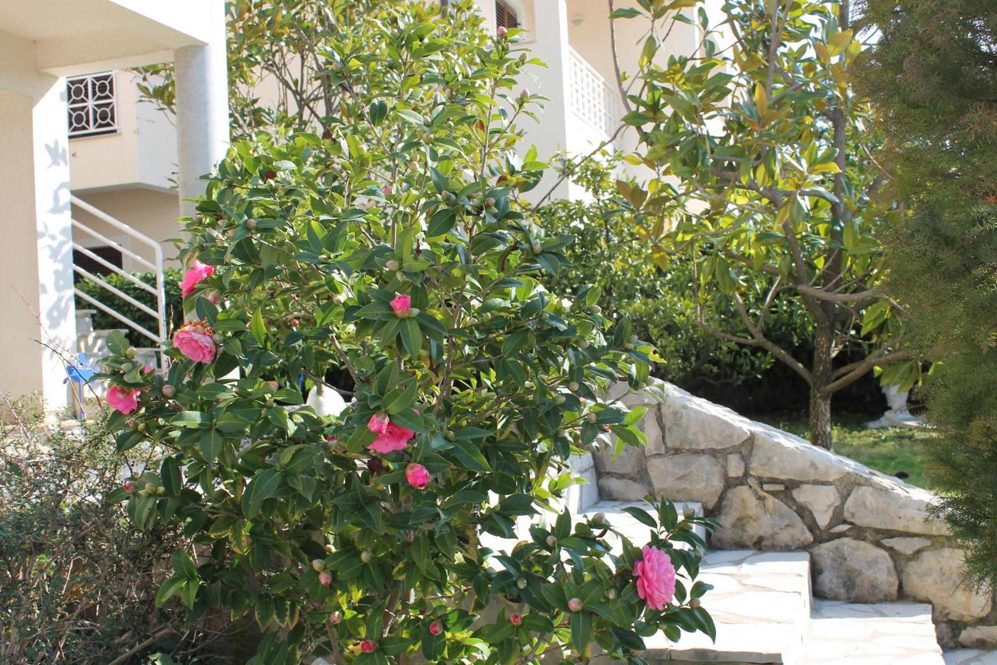 Apartments Vila Marica Rabac Extérieur photo