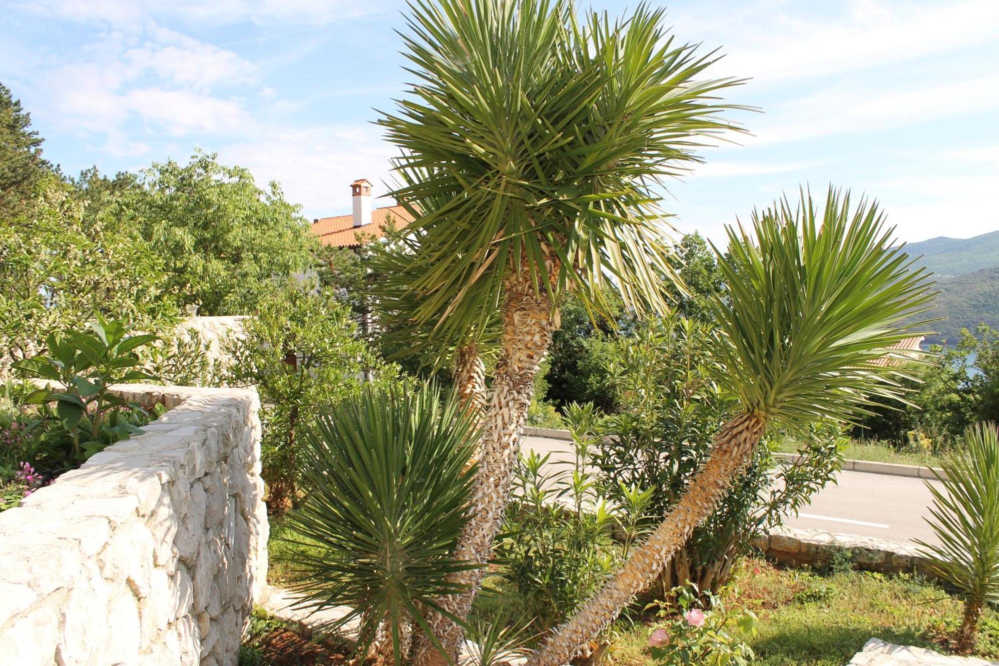 Apartments Vila Marica Rabac Extérieur photo